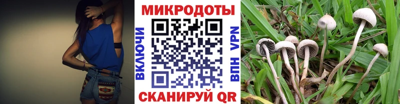 Псилоцибиновые грибы прущие грибы  купить наркотики сайты  Маркс 